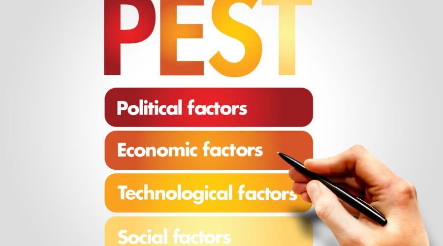 Why choose Tampa Exterminators Near Me for pest control services in Tampa